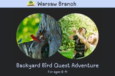 Backyard Bird Quest Adventure